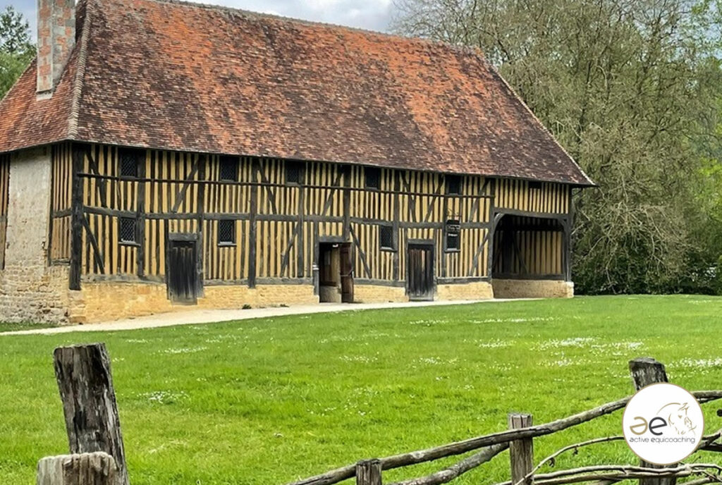 le Cheval et l'Équicoaching